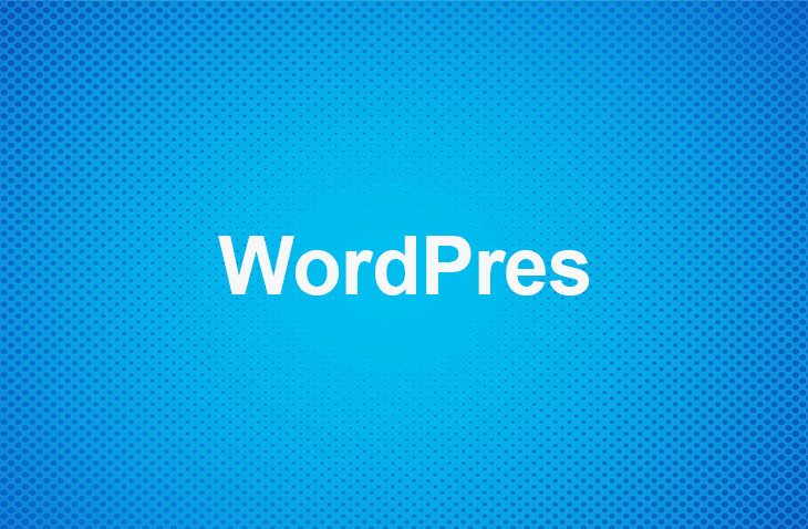 How to Add a Slider on WordPress?