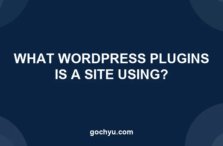 Illustration asking what WordPress plugins a site is using, on the Gochyu blog