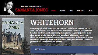 Author Wix template for digital product and ebook affiliate marketing